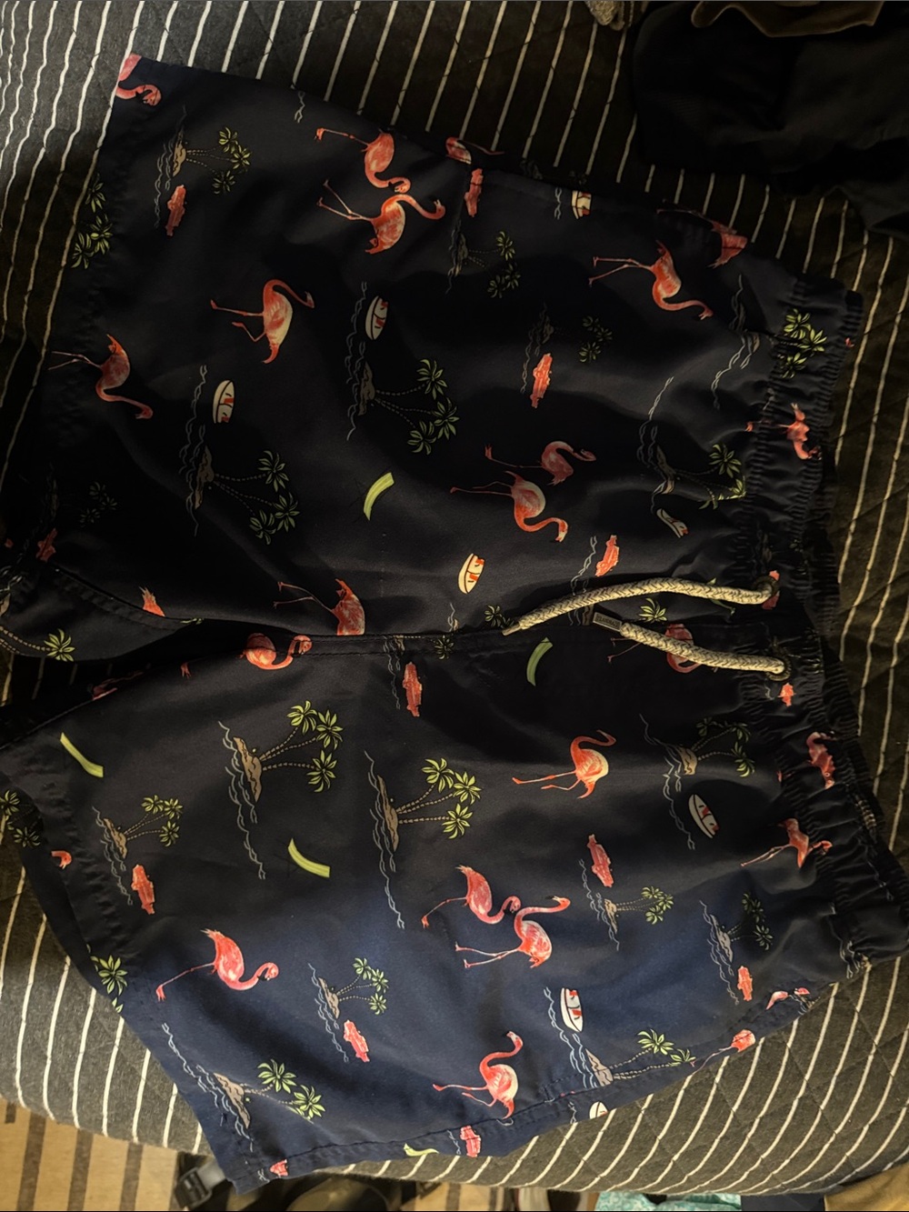 Men's Navy Flamingo Print Swim Trunks